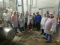 Visita Laticnios Hrcules 2019